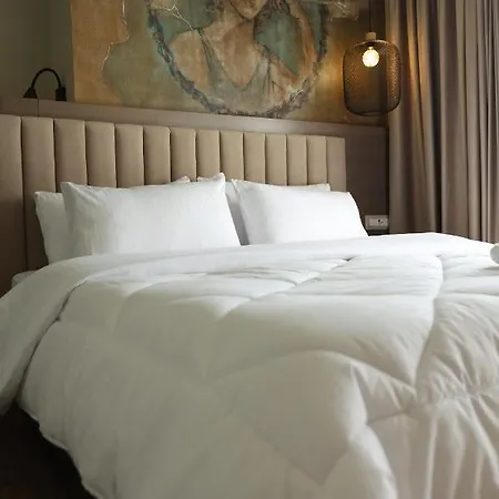 Hotel Borgjeze *